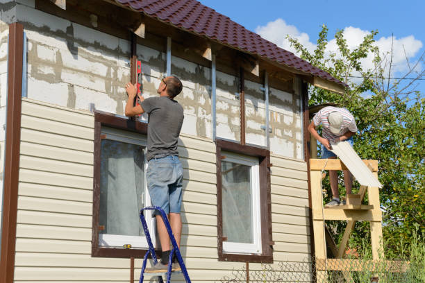Best Vinyl Siding Installation  in Eureka Springs, AR