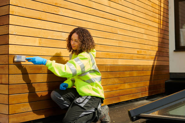 Affordable Siding Repair and Maintenance Services in Eureka Springs, AR